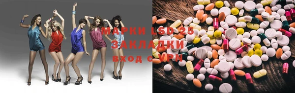 твердый Новодвинск