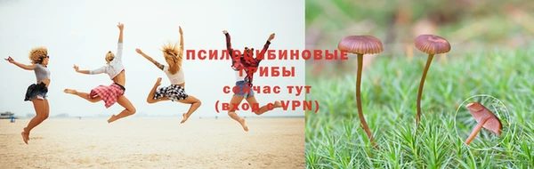 гидропоника Алзамай