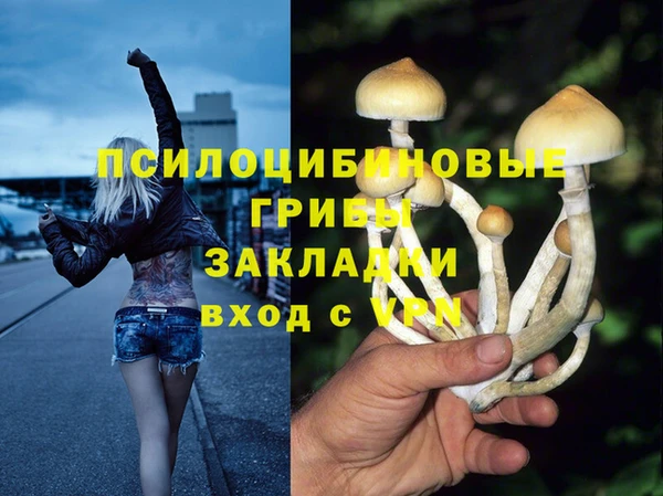 гидропоника Алзамай