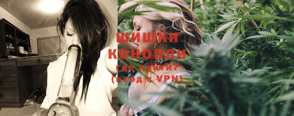 твердый Новодвинск