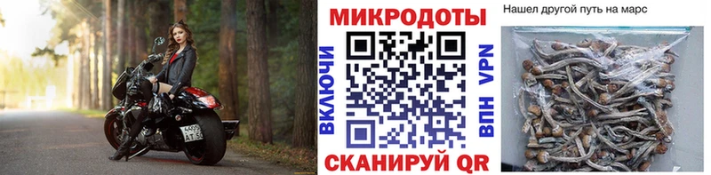 Галлюциногенные грибы Magic Shrooms  Рошаль 